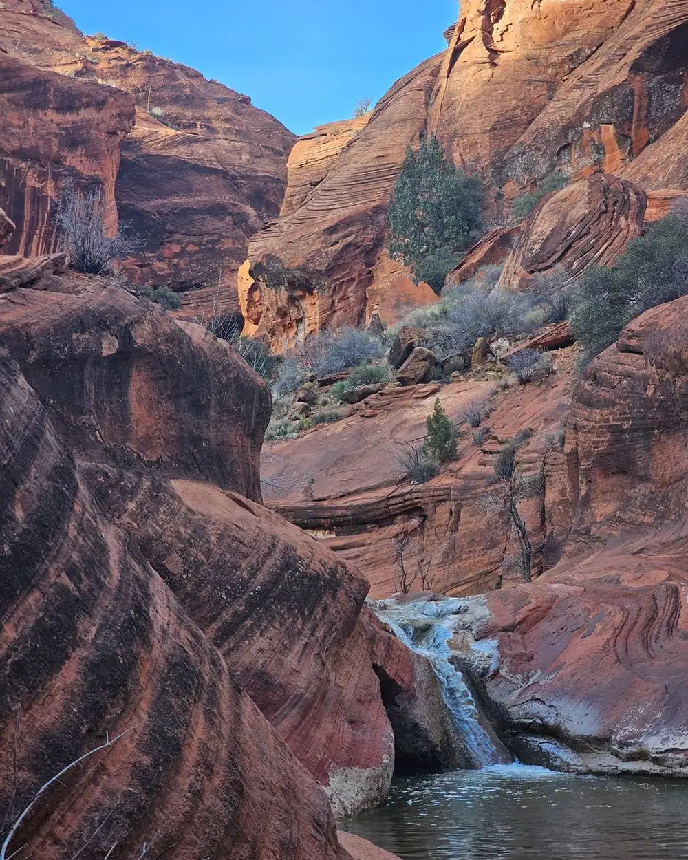 Parois ocre et cascade du canyon de Bras Rouge à Cilaos