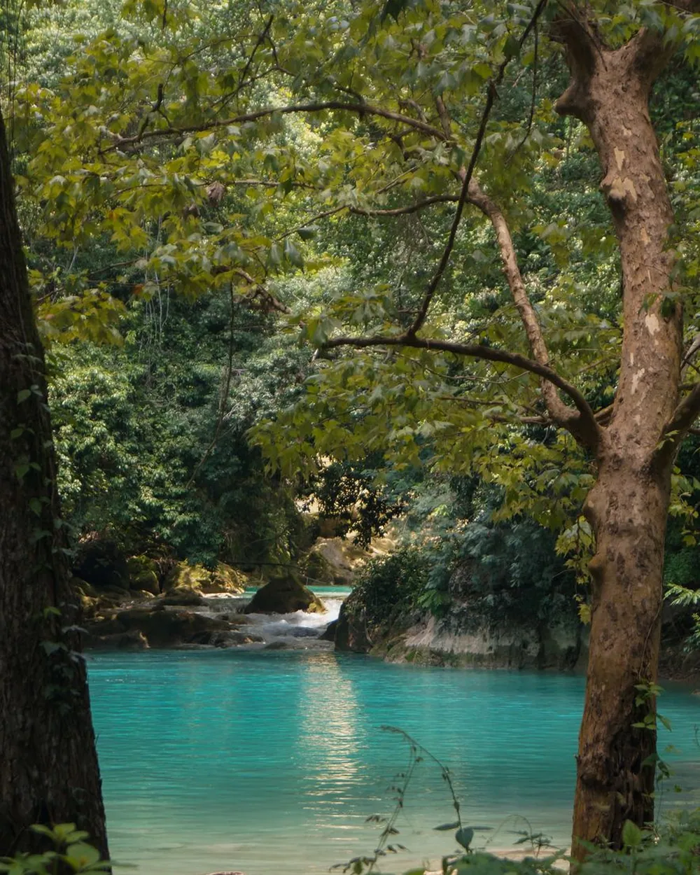 Vasque turquoise de la rivière Langevin dans le sud de La Réunion