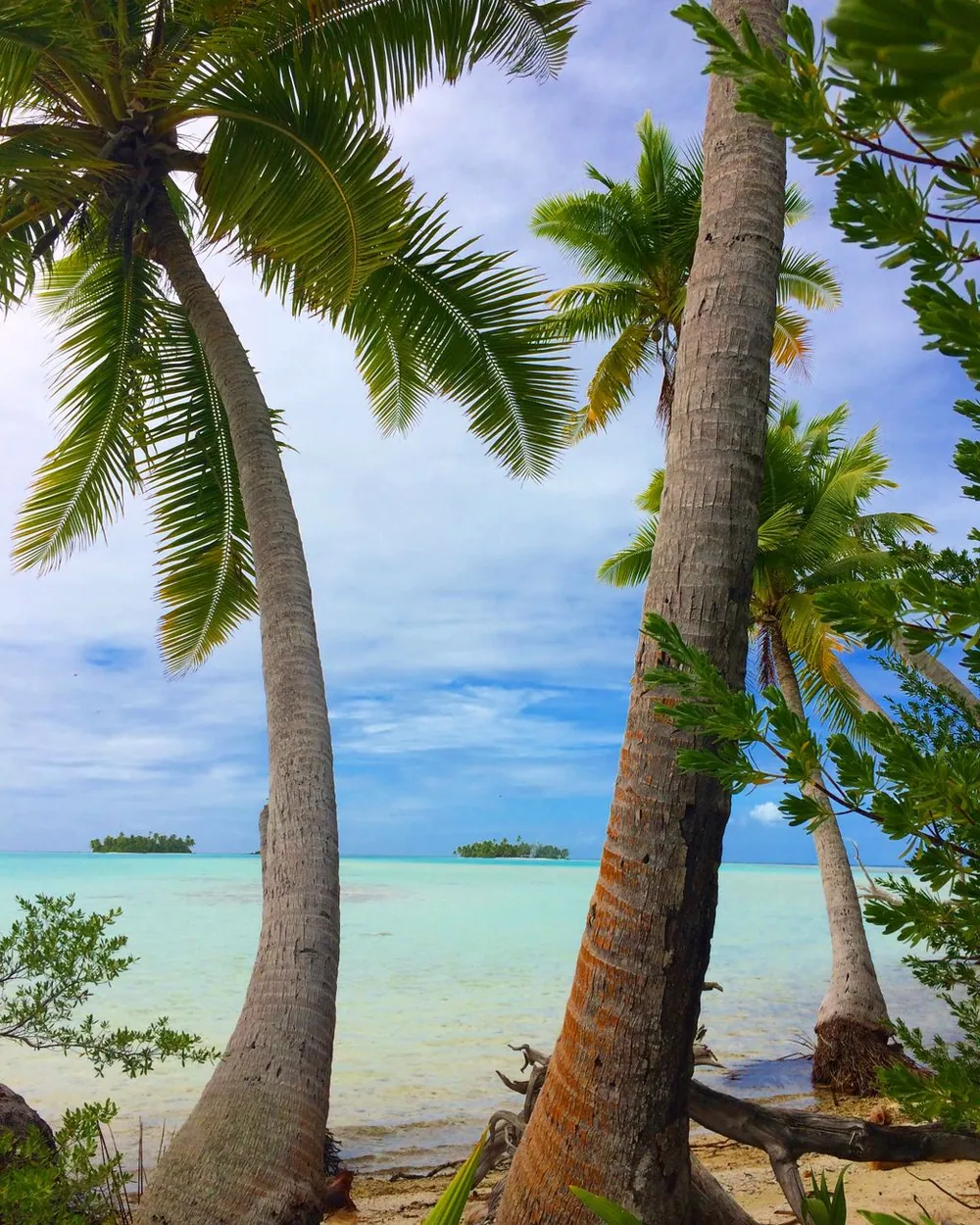 Lagon et plage bordée de filaos sur la côte ouest de La Réunion