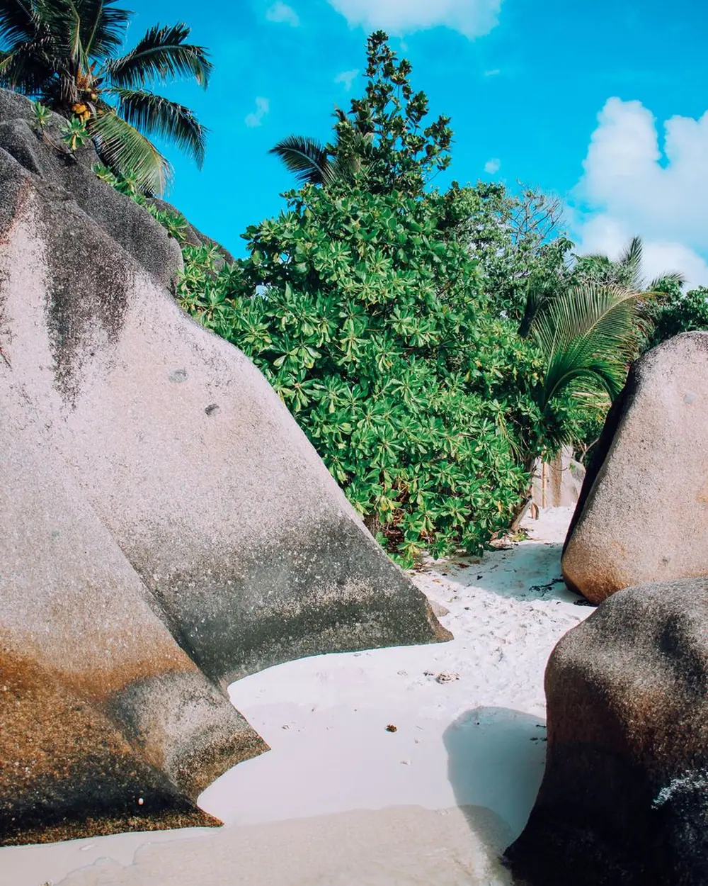 Blocs de granit et sable blanc sur une plage des Seychelles
